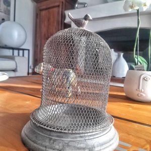 Cloche Shabby chic